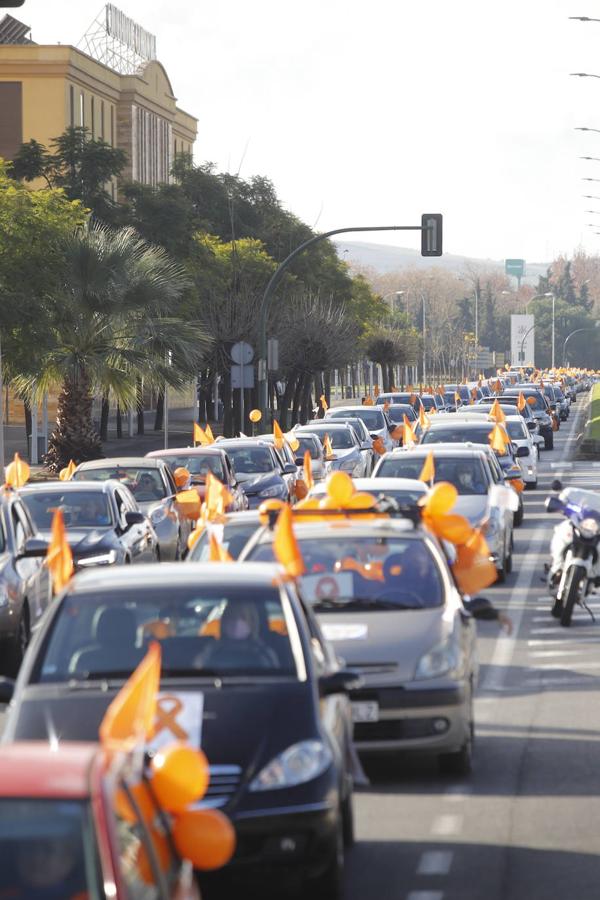 La manifestación contra la Ley Celaá en Córdoba, en imágenes