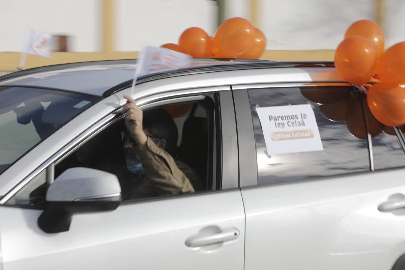 Caravana de coches contra la Ley Celaá en Jerez