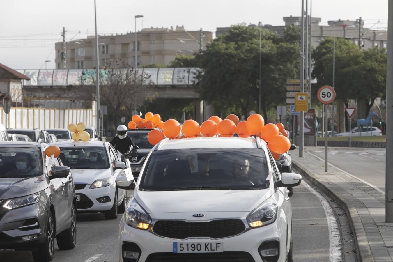 Caravana de coches contra la Ley Celaá en Jerez