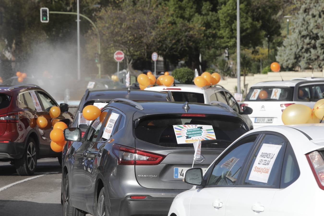 Caravana de coches contra la Ley Celaá en Jerez