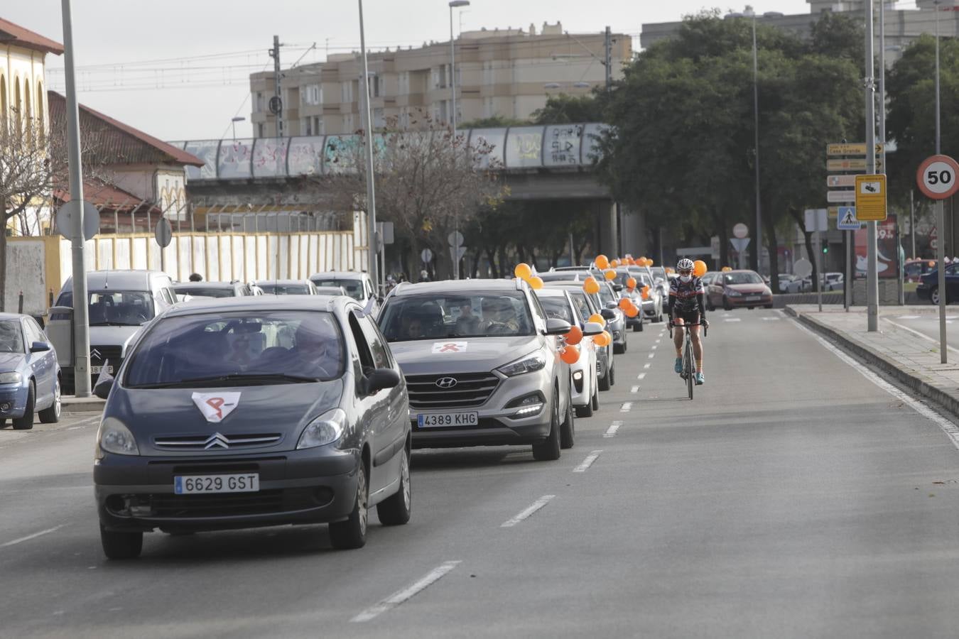 Caravana de coches contra la Ley Celaá en Jerez