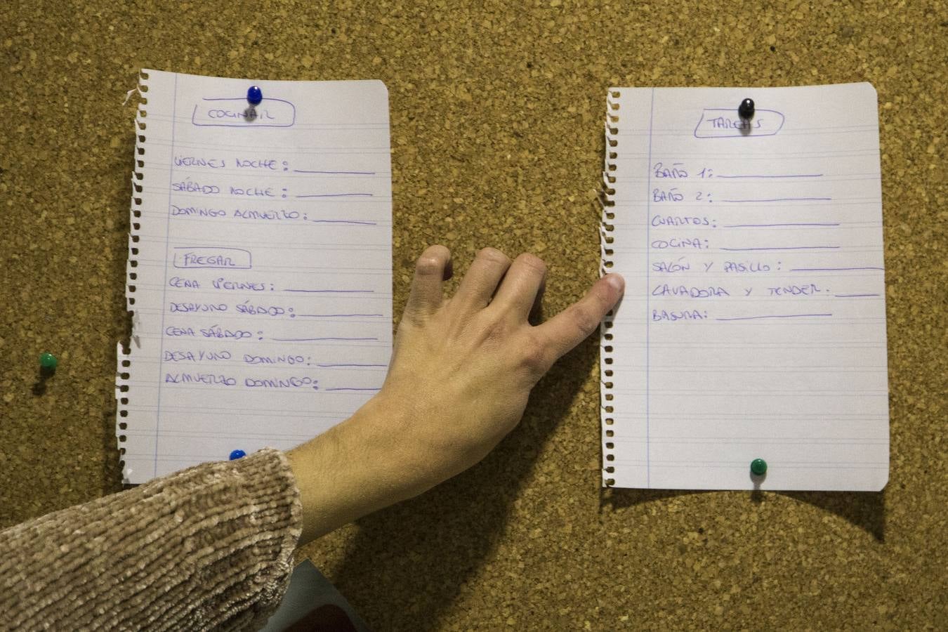 Así viven de forma autónoma las personas con Síndrome de Down en Sevilla