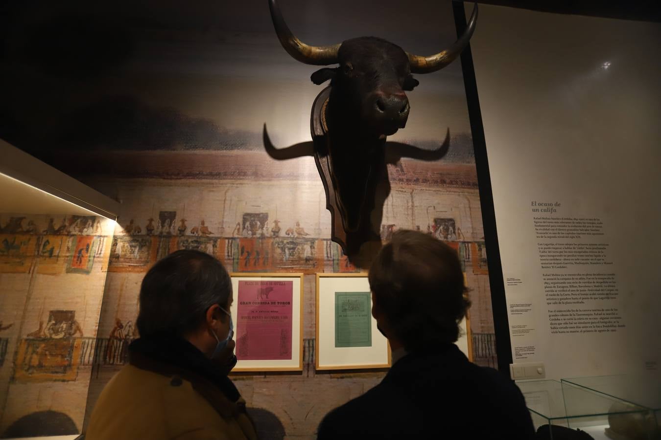 La exposición del Museo Taurino de Córdoba, en imágenes