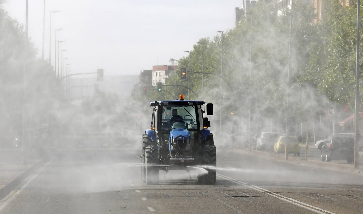 El año del coronavirus en Córdoba, en imágenes (I)