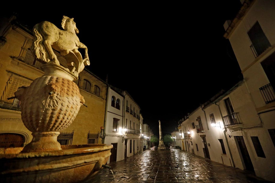 El año del coronavirus en Córdoba, en imágenes (I)