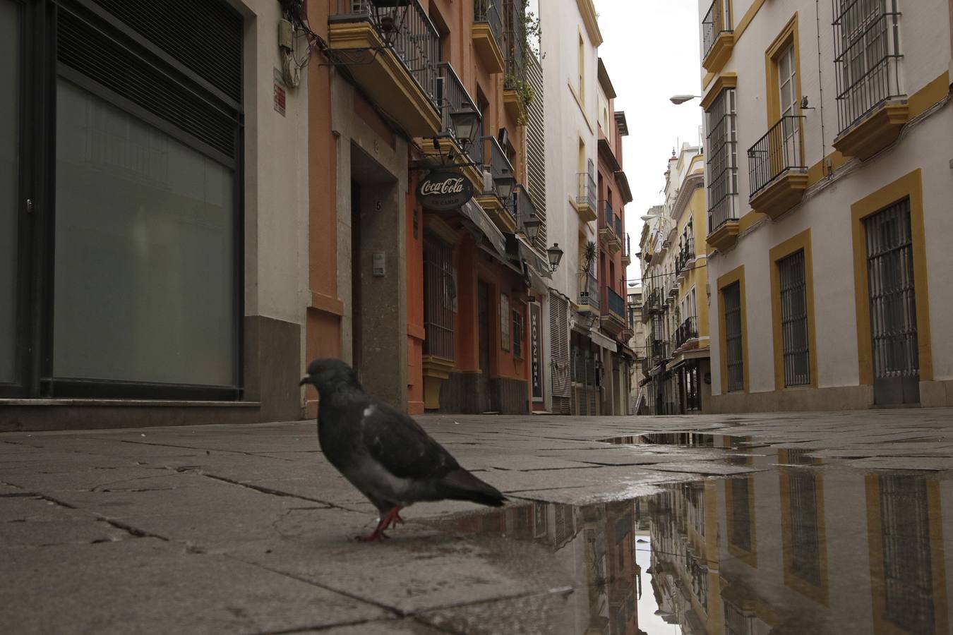 El año 2020 en imágenes: primeros días del estado de alarma en Sevilla