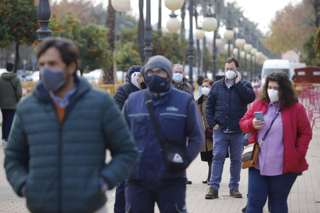 El cribado masivo por coronavirus en el Paseo de la Victoria, en imágenes