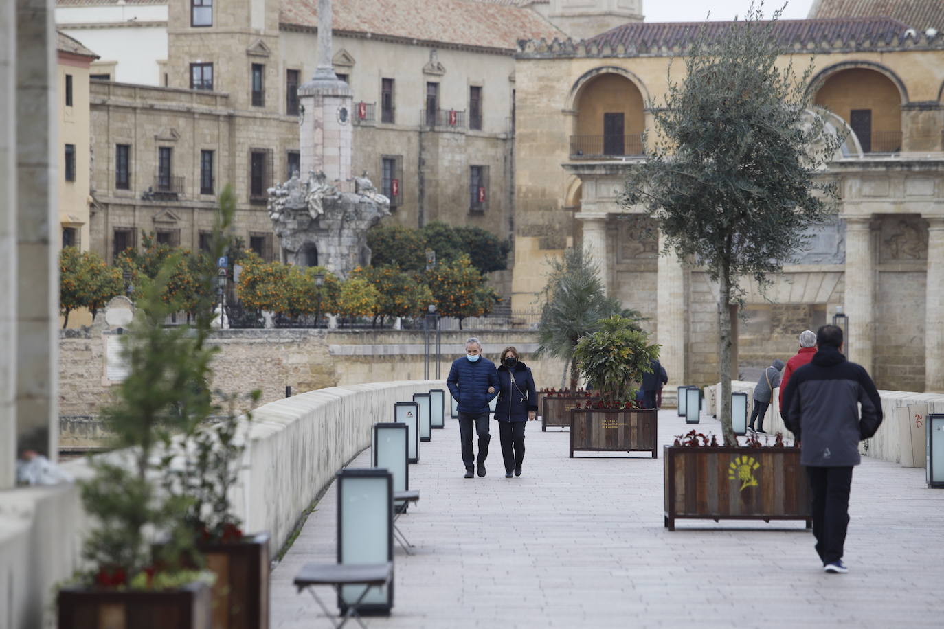 La situación del Puente Romano de Córdoba, en imágenes