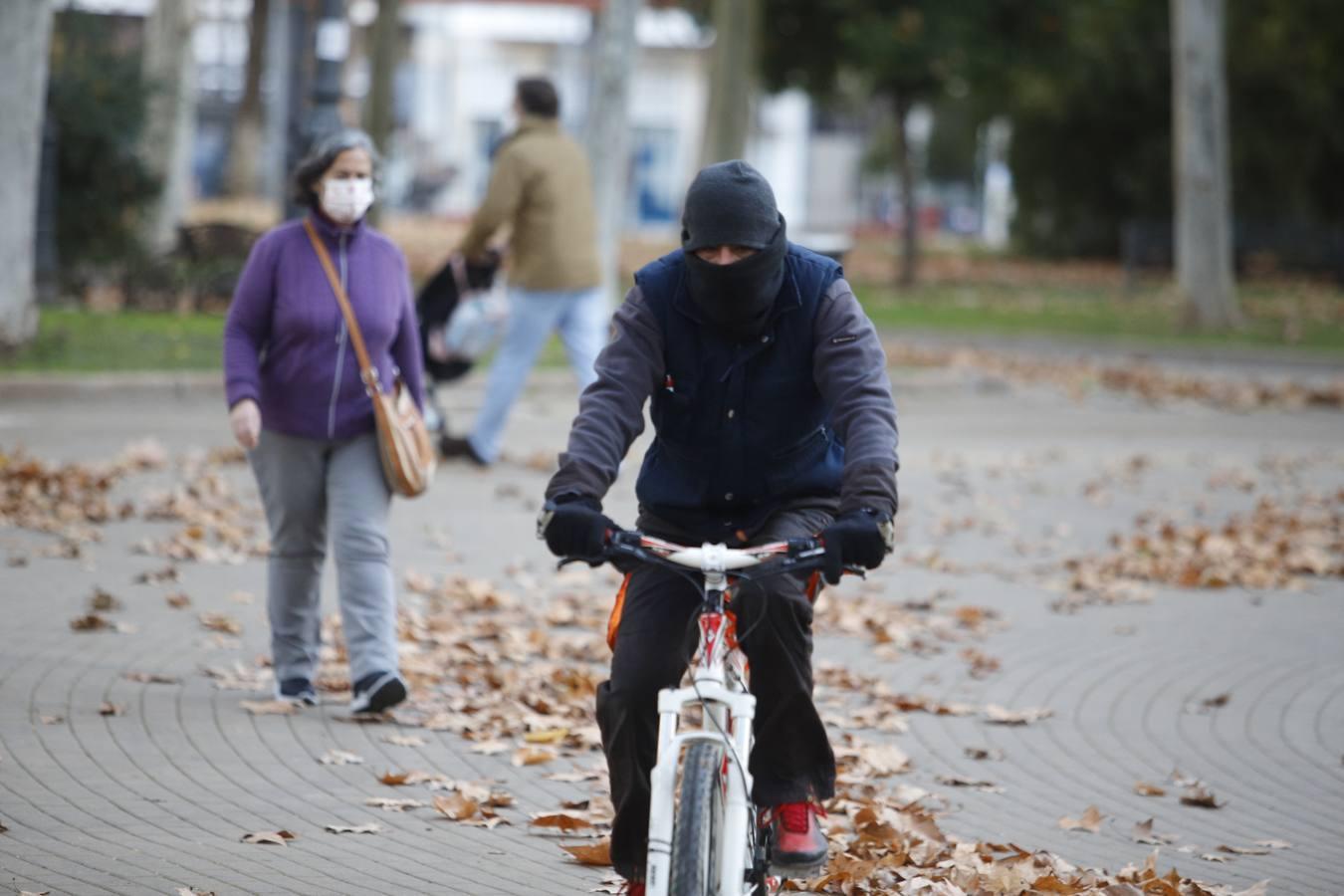 El frío invernal en las calles de Córdoba, en imágenes