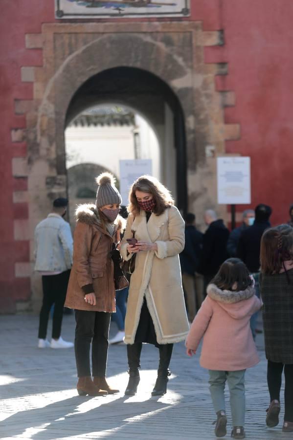 En imágenes, primer fin de semana del año con temperaturas bajo cero en Sevilla