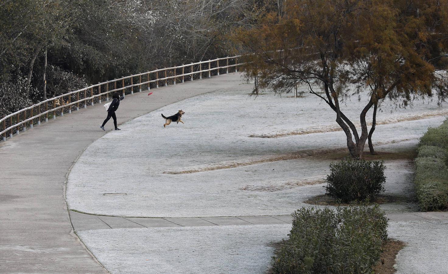 La mañana de frío en Córdoba, en imágenes