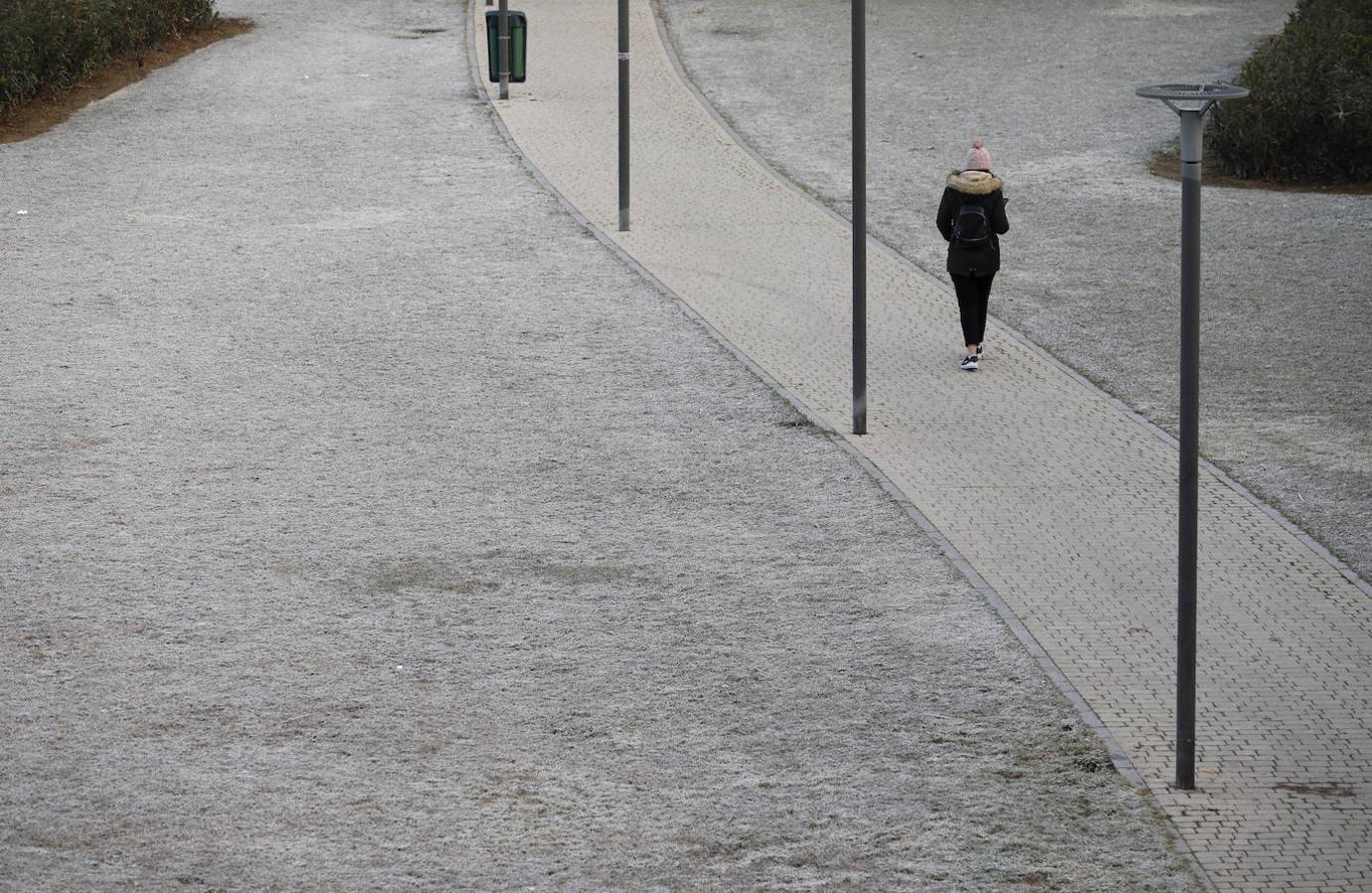 La mañana de frío en Córdoba, en imágenes