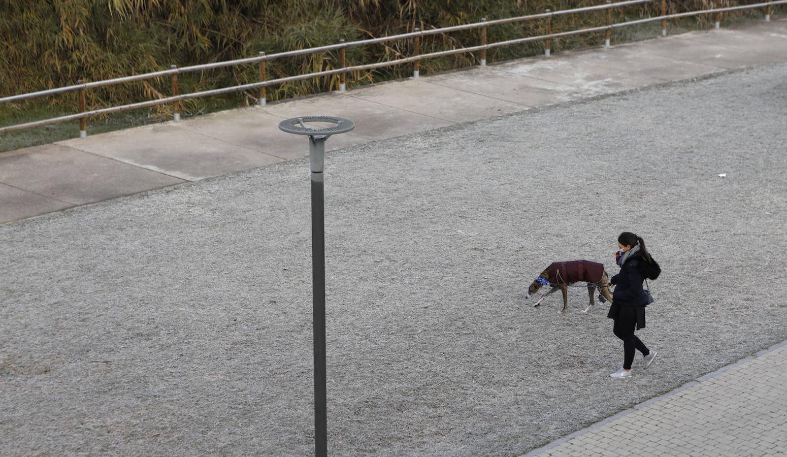 La mañana de frío en Córdoba, en imágenes