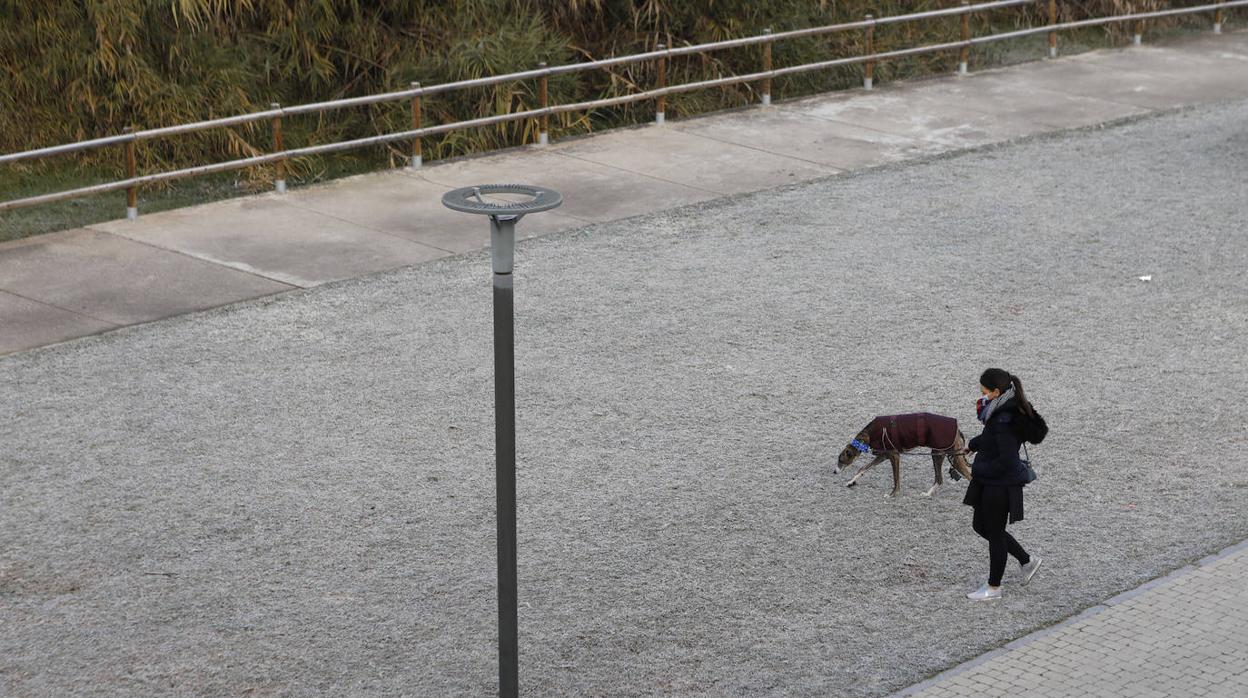 La mañana de frío en Córdoba, en imágenes