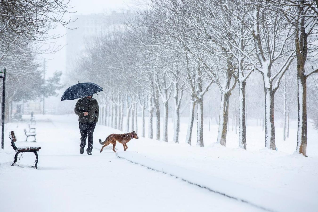 Un hombre pasea por la nieve en un parque del sur de Vitoria, este lunes en el que se mantiene activada la alerta amarilla por nevadas a partir de 400 metros de altitud. 