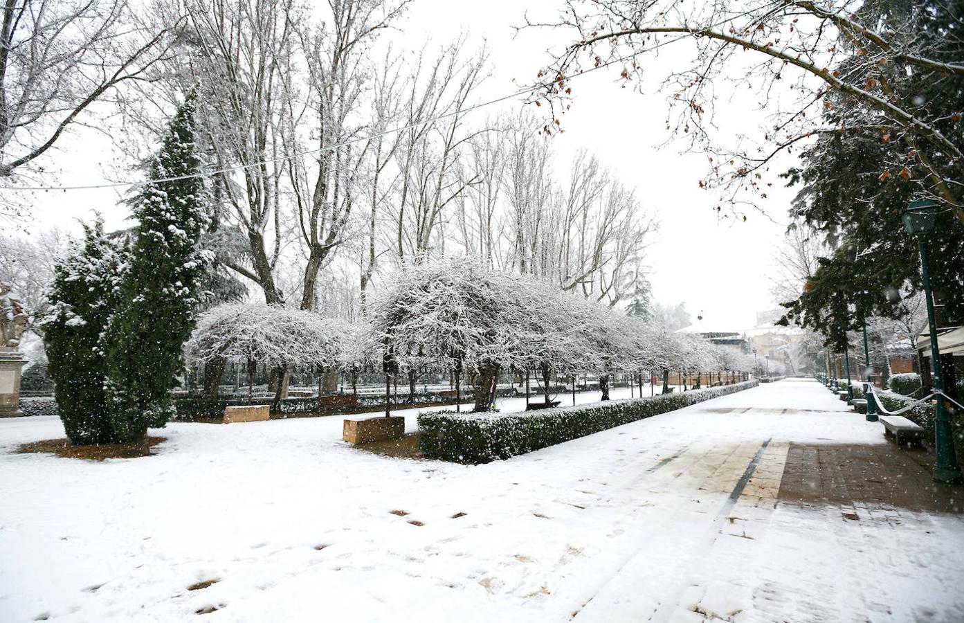 La nieve llega a Toledo