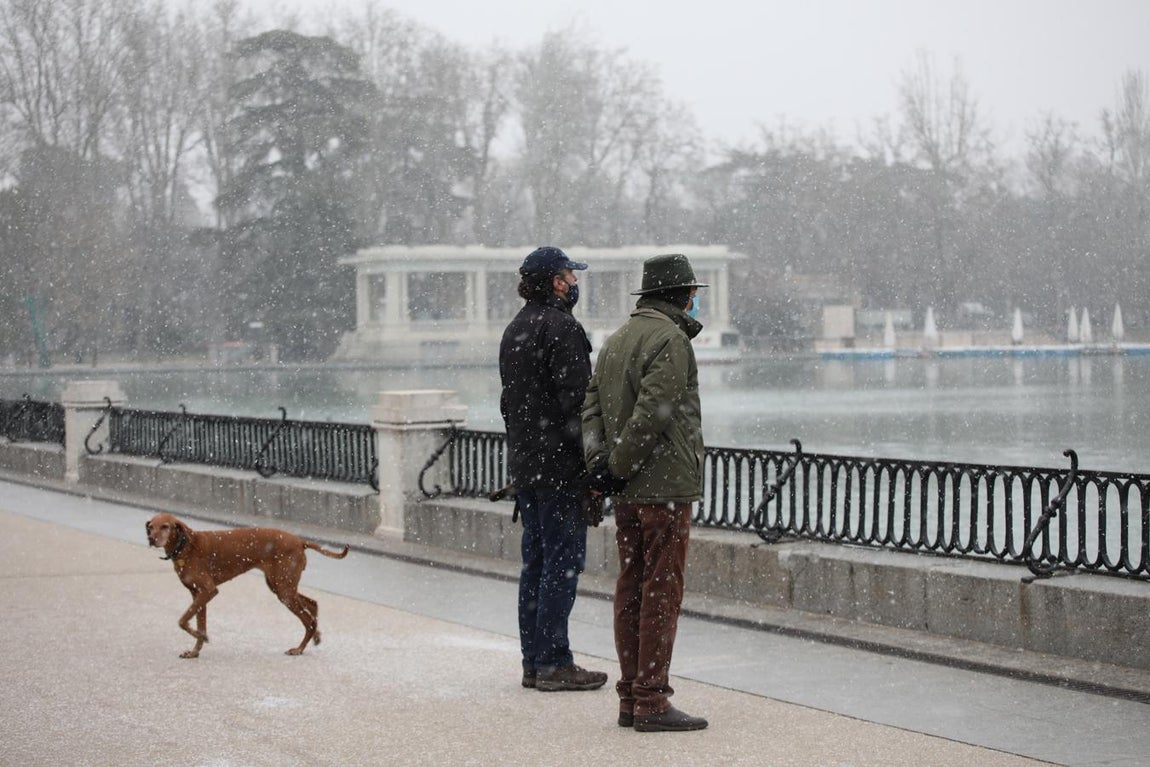 Dos personas observan la nevada en el madrileño Parque del Retiro. 
