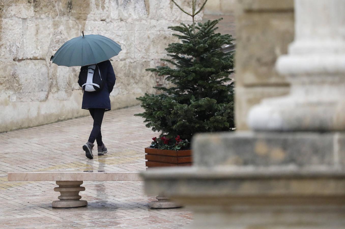 Borrasca Filomena | Mañanas de frío y lluvia invernal en Córdoba