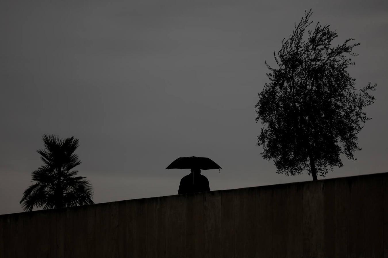 Borrasca Filomena | Mañanas de frío y lluvia invernal en Córdoba