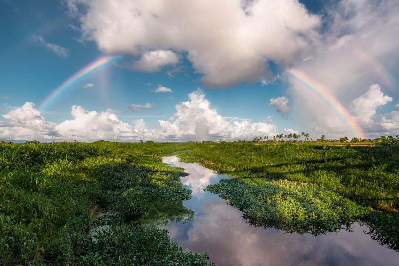 Doble arcoíris en las Llanuras del Caroní. Localización: Caroni, Trinidad and Tobago