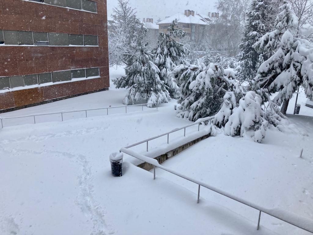 En Pozuelo de Alarcón (Madrid) es imposible diferenciar lo que es una acera de lo que es una escalera. 