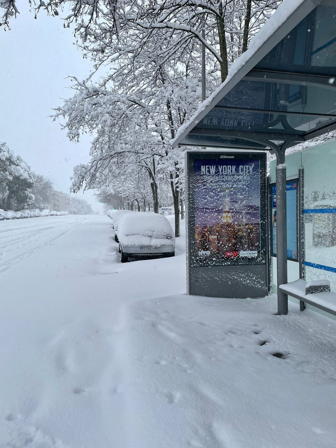 Imagen de la nieve en el barrio de Rejas (Madrid). 