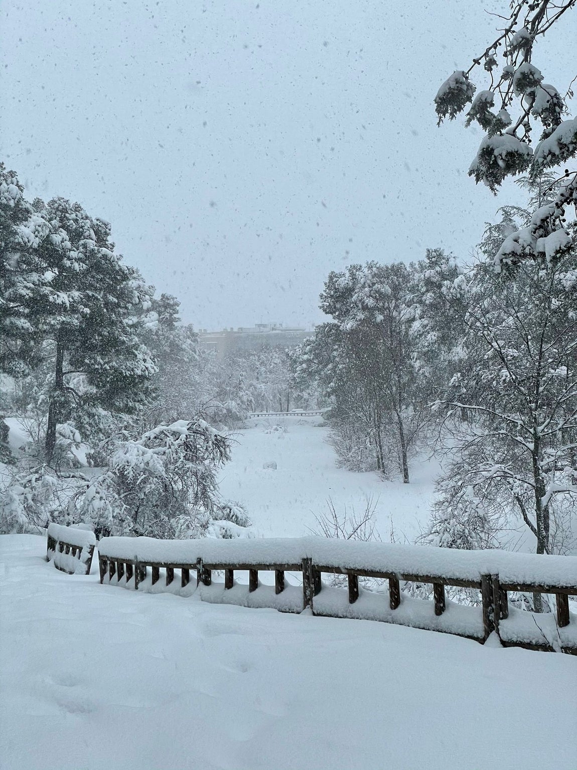 Imagen de la nieve en el distrito de Rejas (Madrid). 