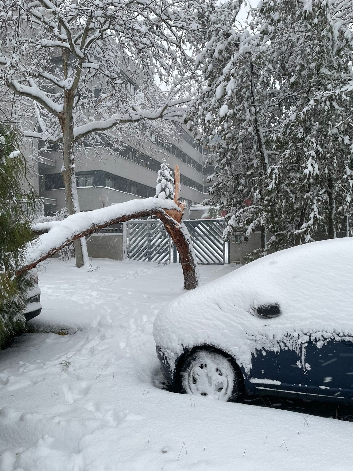 Imagen de la nieve en el distrito de Rejas (Madrid). 