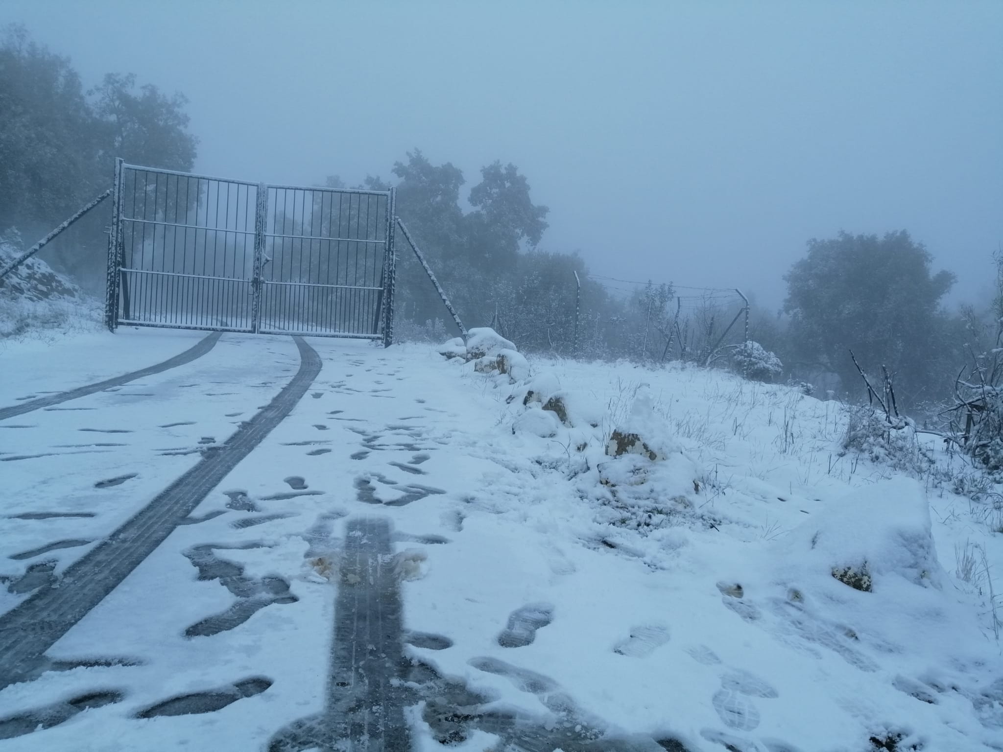 En imágenes, las primeras nevadas en la Sierra Norte de Sevilla