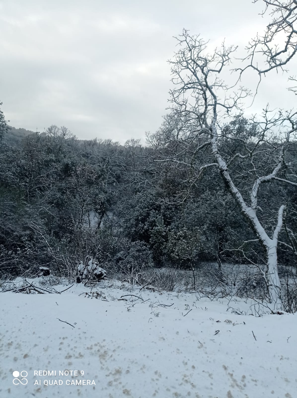 Paisaje helado en Constantina