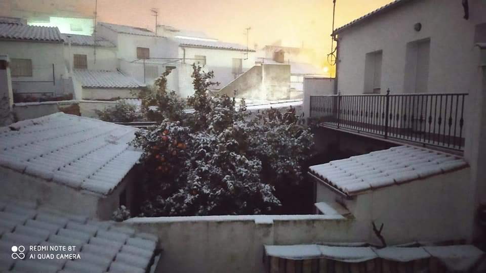 En imágenes, las primeras nevadas en la Sierra Norte de Sevilla