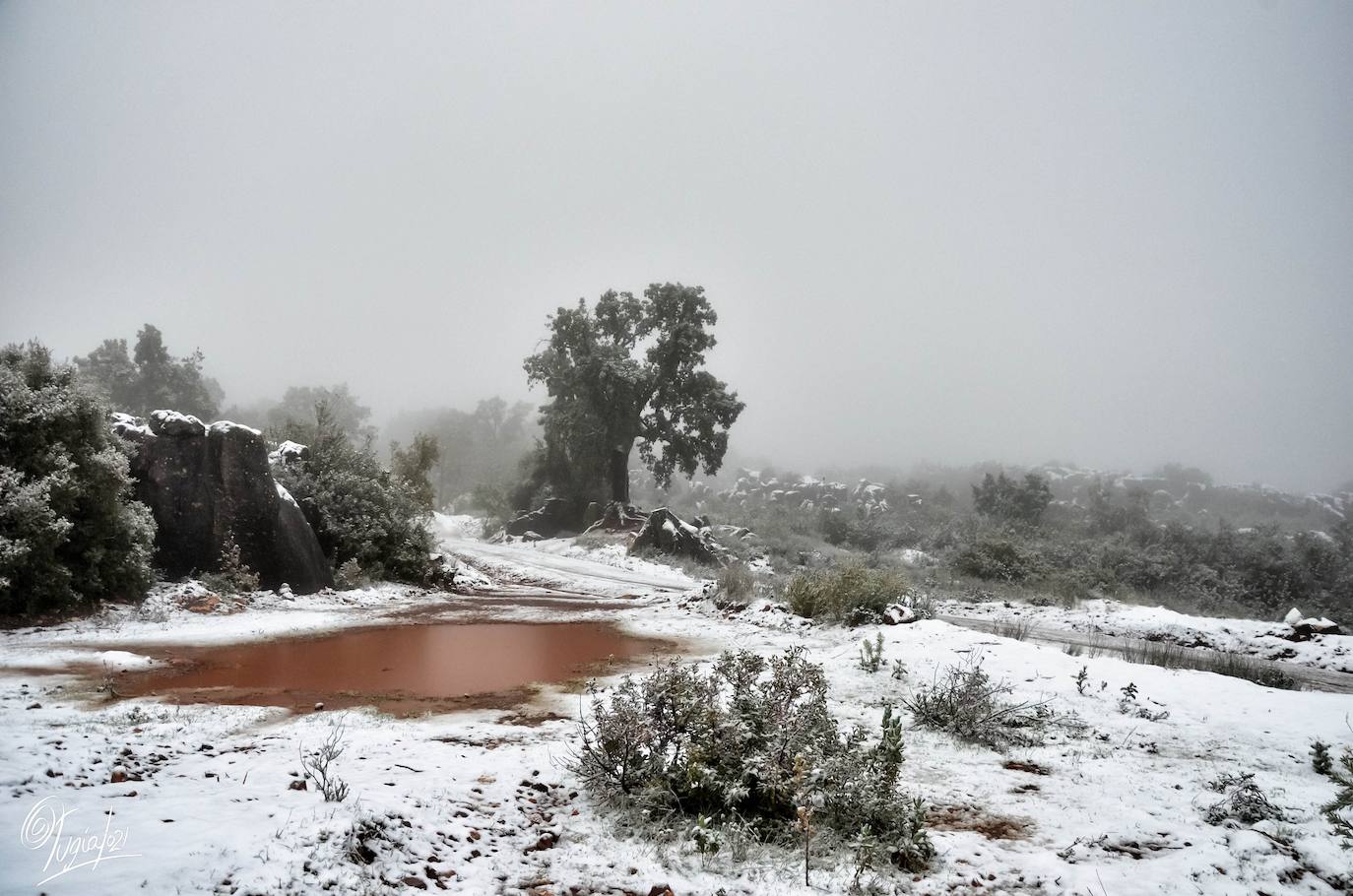 En imágenes, las primeras nevadas en la Sierra Norte de Sevilla