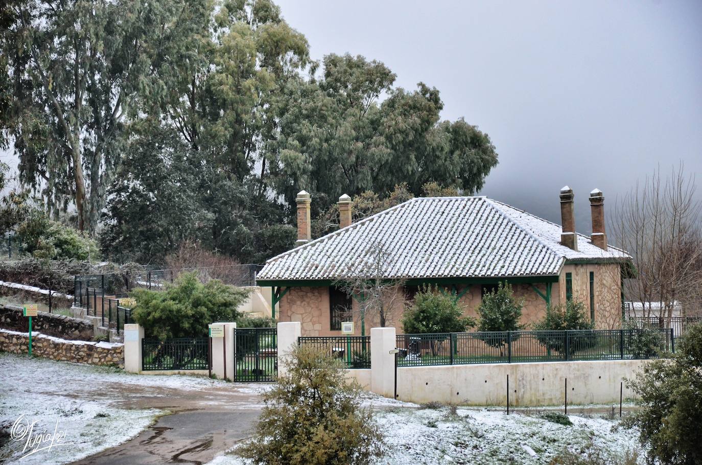 En imágenes, las primeras nevadas en la Sierra Norte de Sevilla