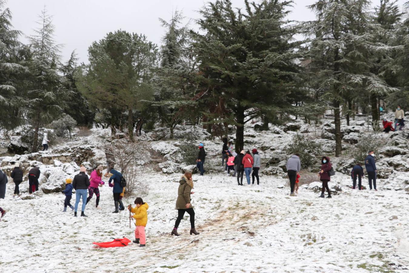 La nieve en la Sierra de Cabra este domingo, en imágenes