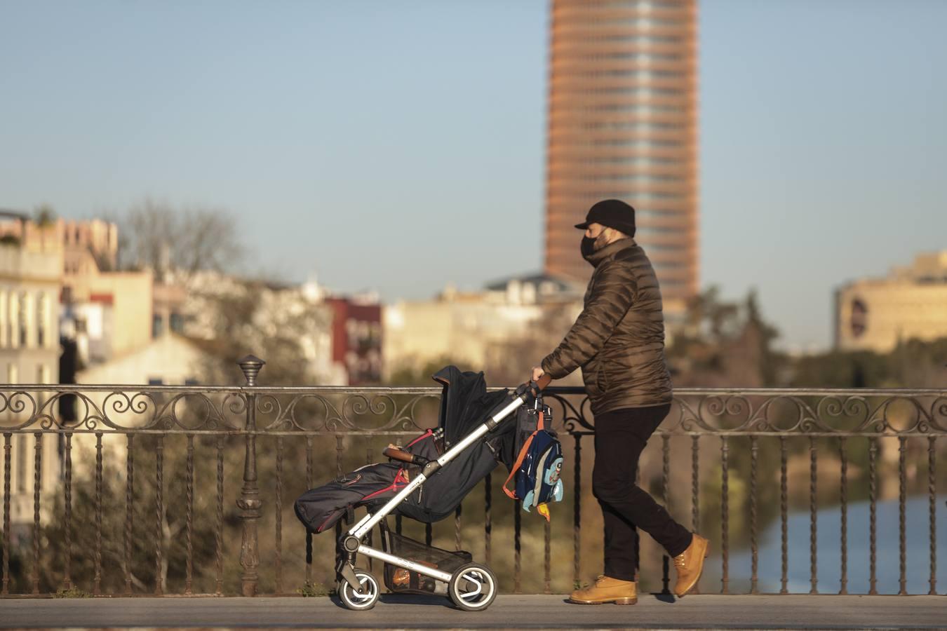 En imágenes: Sevilla, bajo cero