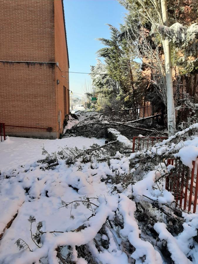 Así está el colegio Infantes por el temporal Filomena