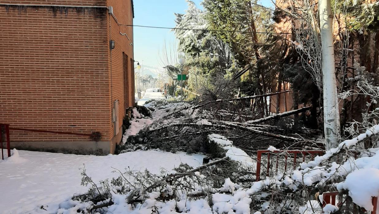 El colegio Infantes tras el temporal Filomena