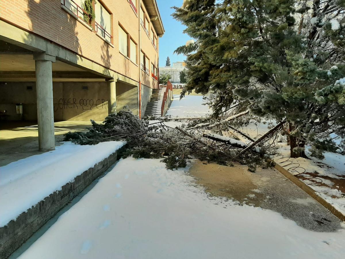 El colegio Infantes tras el temporal Filomena