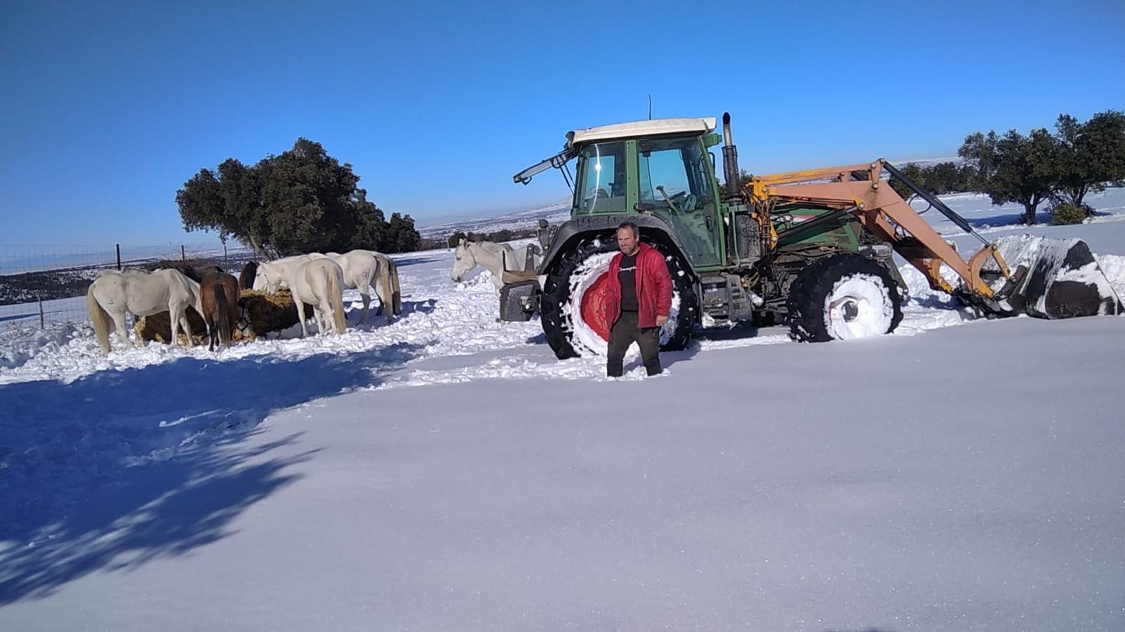 Faustino, al llegar a la finca de un vecino para dar de comer a sus caballos