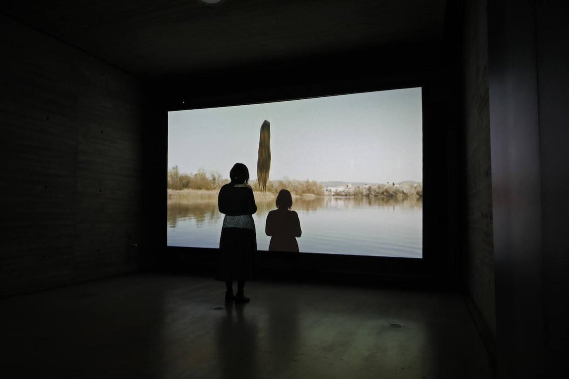 En imágenes, la exposición «Vivir juntos. Una apuesta en común de las distancias», en el C3A de Córdoba