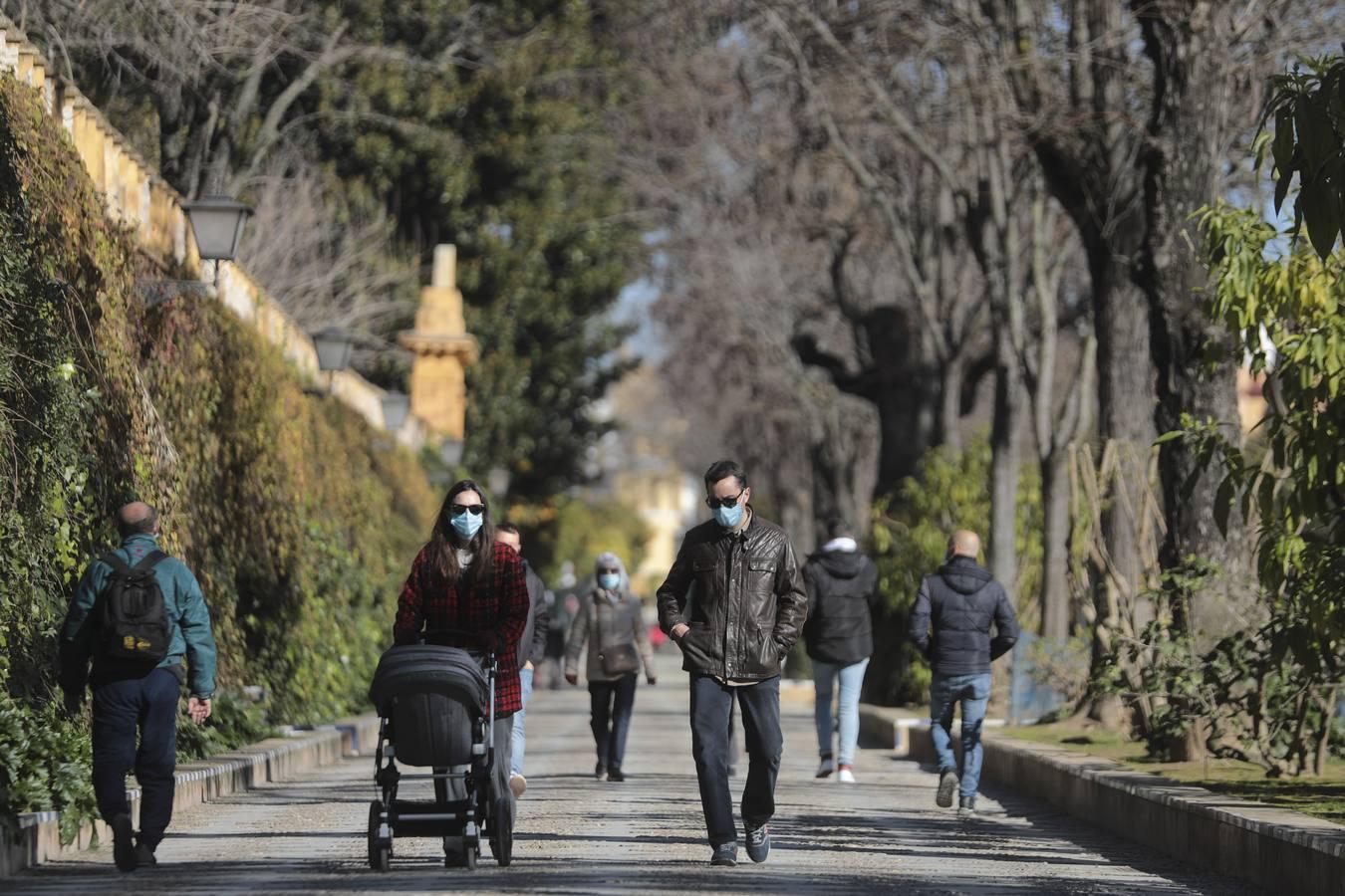 En imágenes, los sevillanos disfrutan del sábado antes de las nuevas restricciones