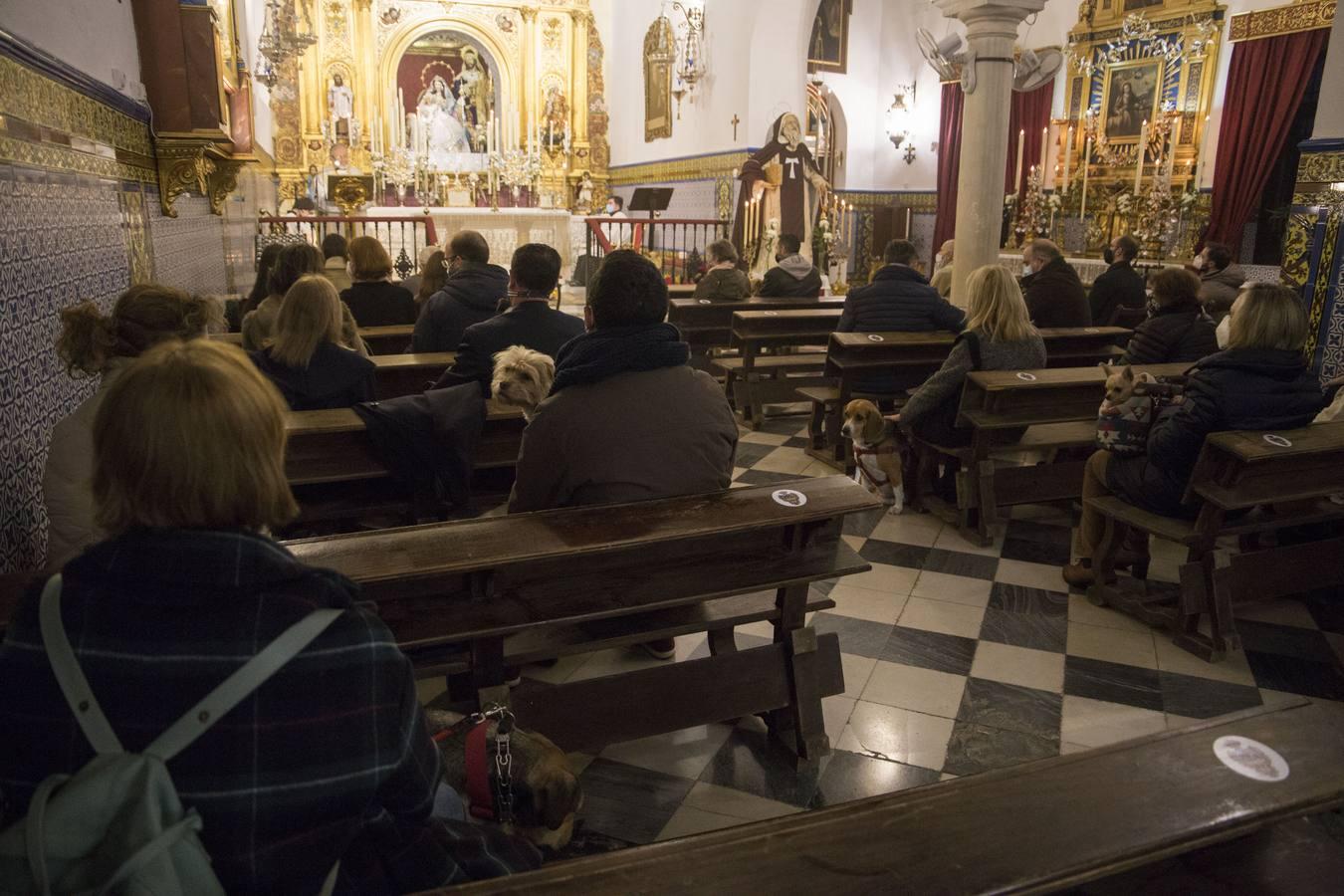 Bendición de animales por San Antón en Sevilla