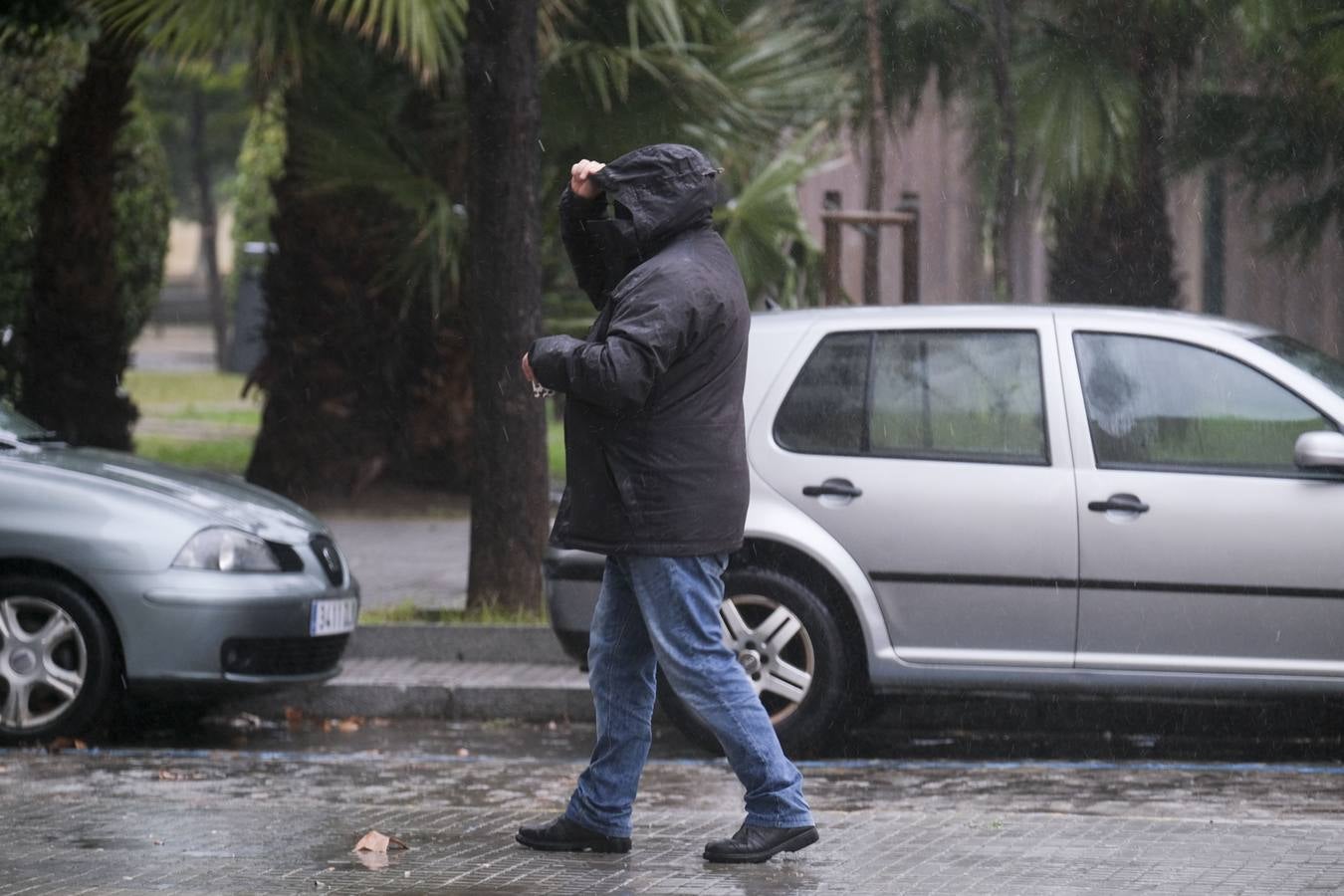 El temporal de lluvia en Cádiz, en imágenes