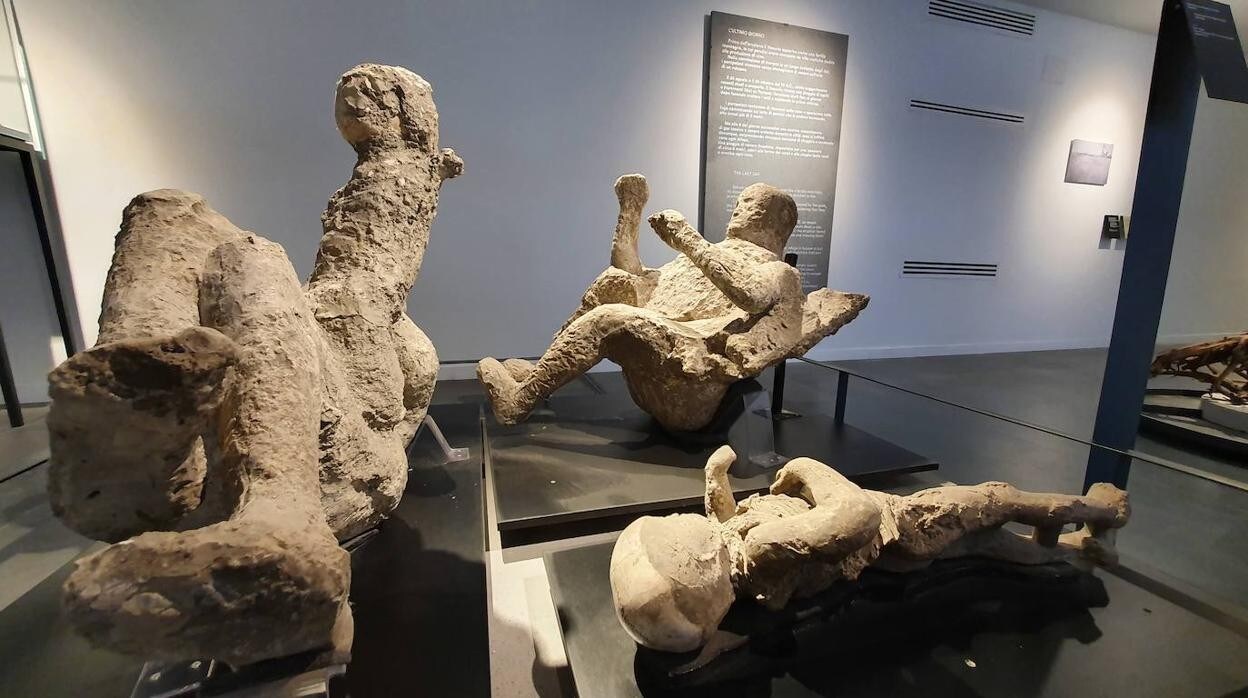 Desde su época samnita hasta su destrucción por el Vesubio, la historia de Pompeya en imágenes