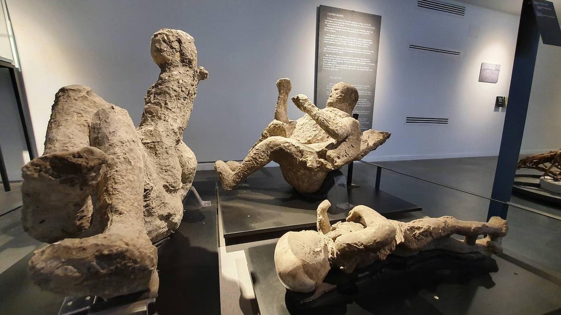 Atrapados en la erupción. Las excavaciones dieron con huecos en la ceniza que habían contenido restos humanos. Fueron rellenados con yeso líquido y se obtuvieron moldes que mostraban sorprendentemente lo que fueron los últimos instantes de la vida de los ciudadanos que no pudieron escapar de la erupción.