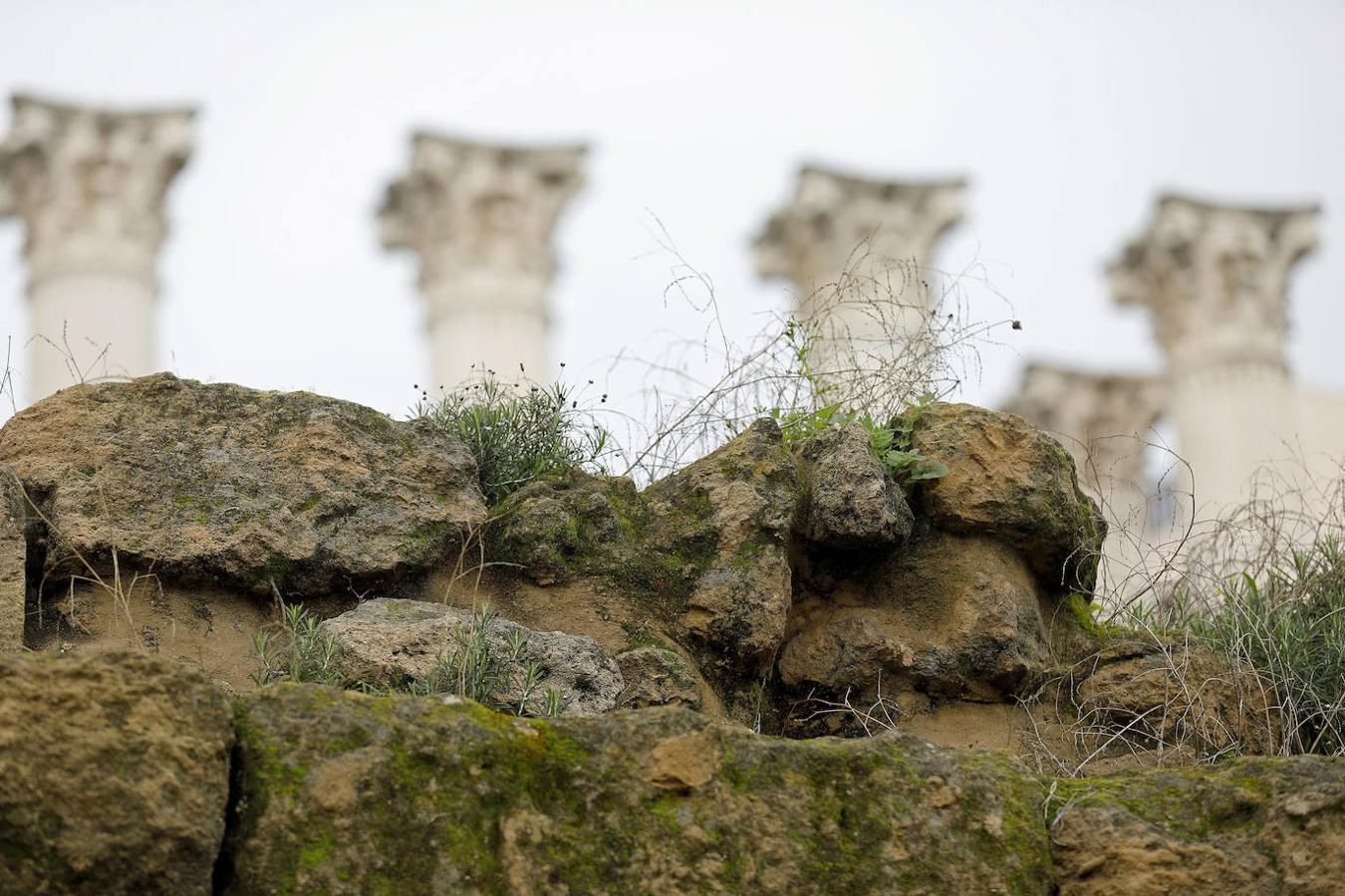 El abandono del Templo Romano, en imágenes