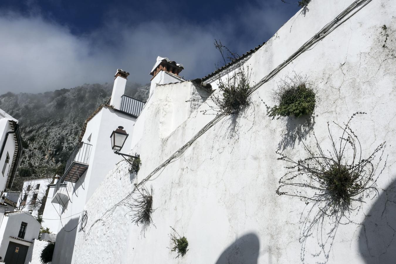 Fotos: Villaluenga, el pueblo gaditano sin Covid