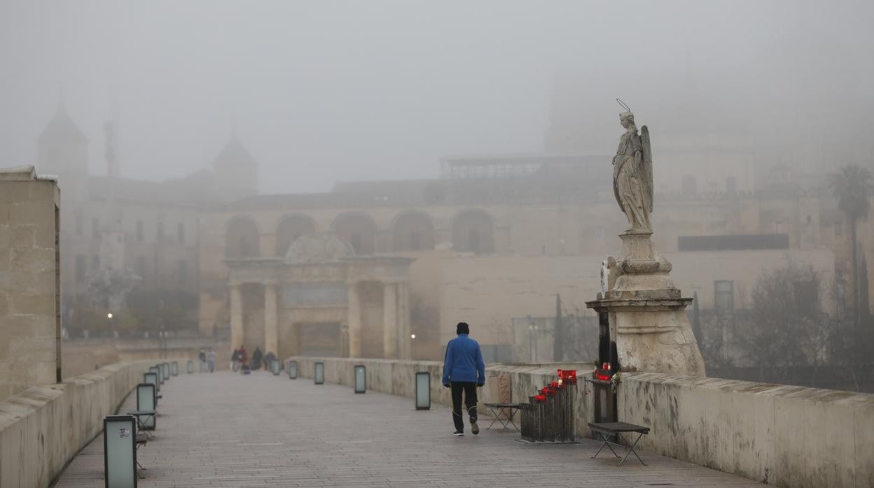 En imágenes, la mañana de niebla en Córdoba