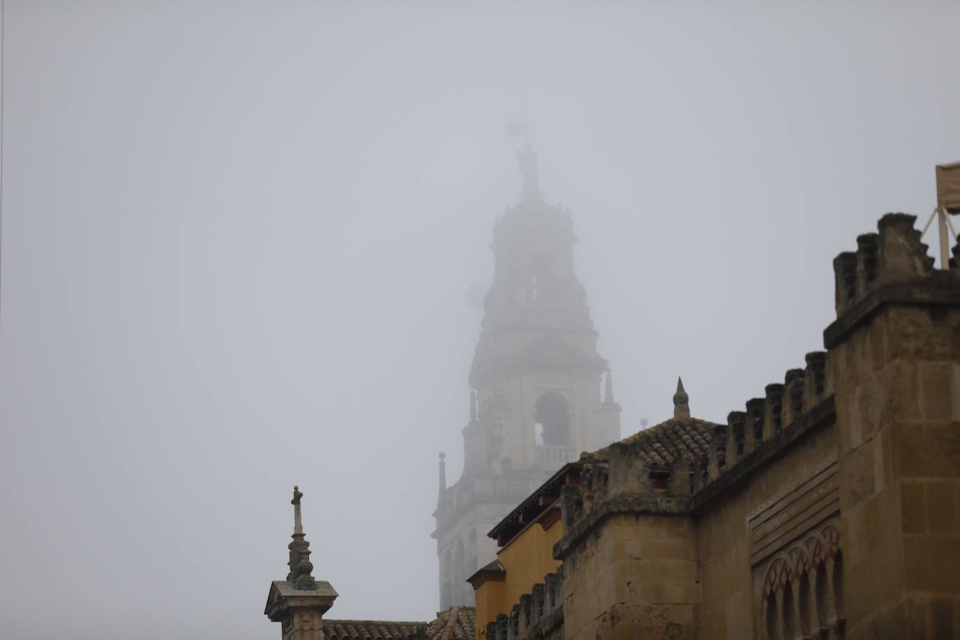 En imágenes, la mañana de niebla en Córdoba