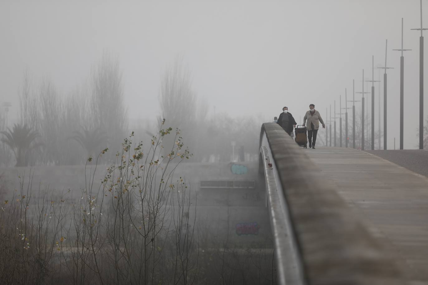 En imágenes, la mañana de niebla en Córdoba